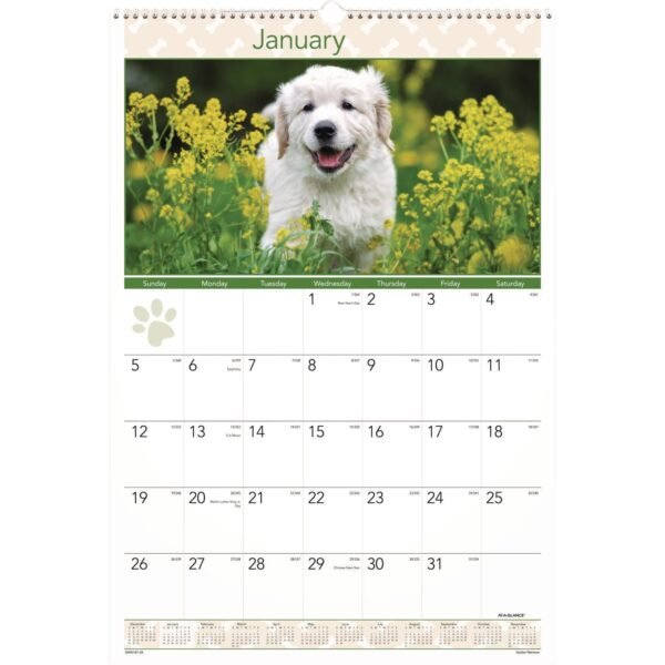 AT-A-GLANCE Puppies Monthly Wall Calendar, Puppies Photography, 15.5 x 22.75, White/Multicolor Sheets, 12-Month (Jan to Dec): 2026 (DMW16728)