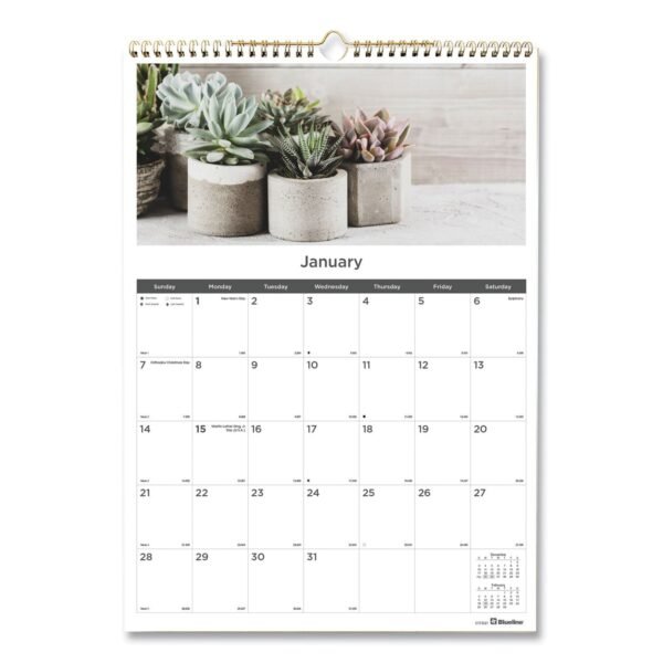Blueline 12-Month Wall Calendar, Minimalistic Artwork, 12 x 17, White/Multicolor Sheets, 12-Month (Jan to Dec): 2026 (C173121)
