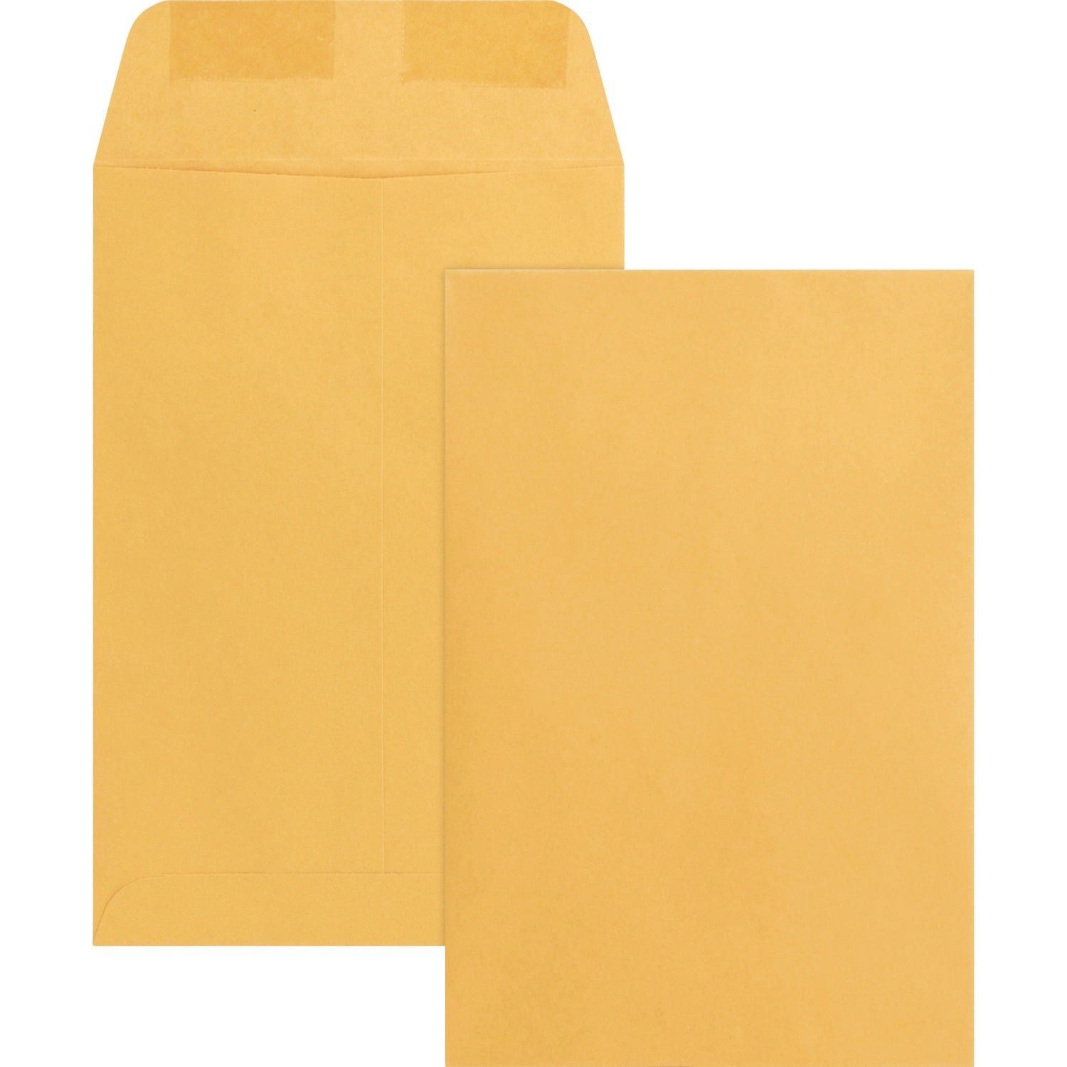 business-source-durable-kraft-catalog-envelopes-catalog-6-width-x-9-.jpg