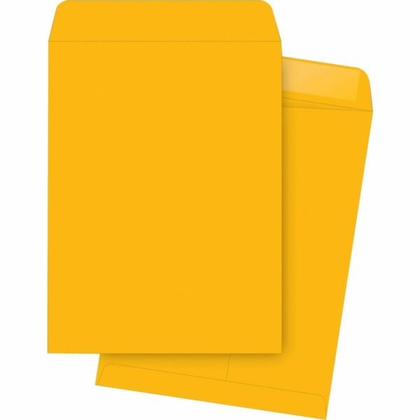 Business Source Kraft Gummed Catalog Envelopes Catalog - #13 1/2 - 10" Width x 13" Length - 28 lb - Gummed - Kraft - Kraft - 250 / Box (BSN42101)