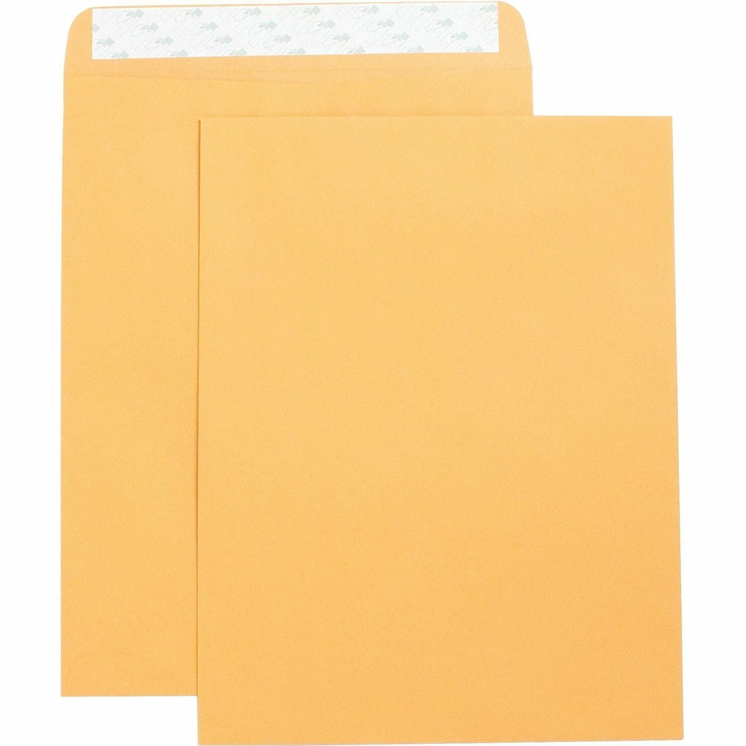 business-source-self-adhesive-kraft-catalog-envelopes-catalog-10-width-x.jpg