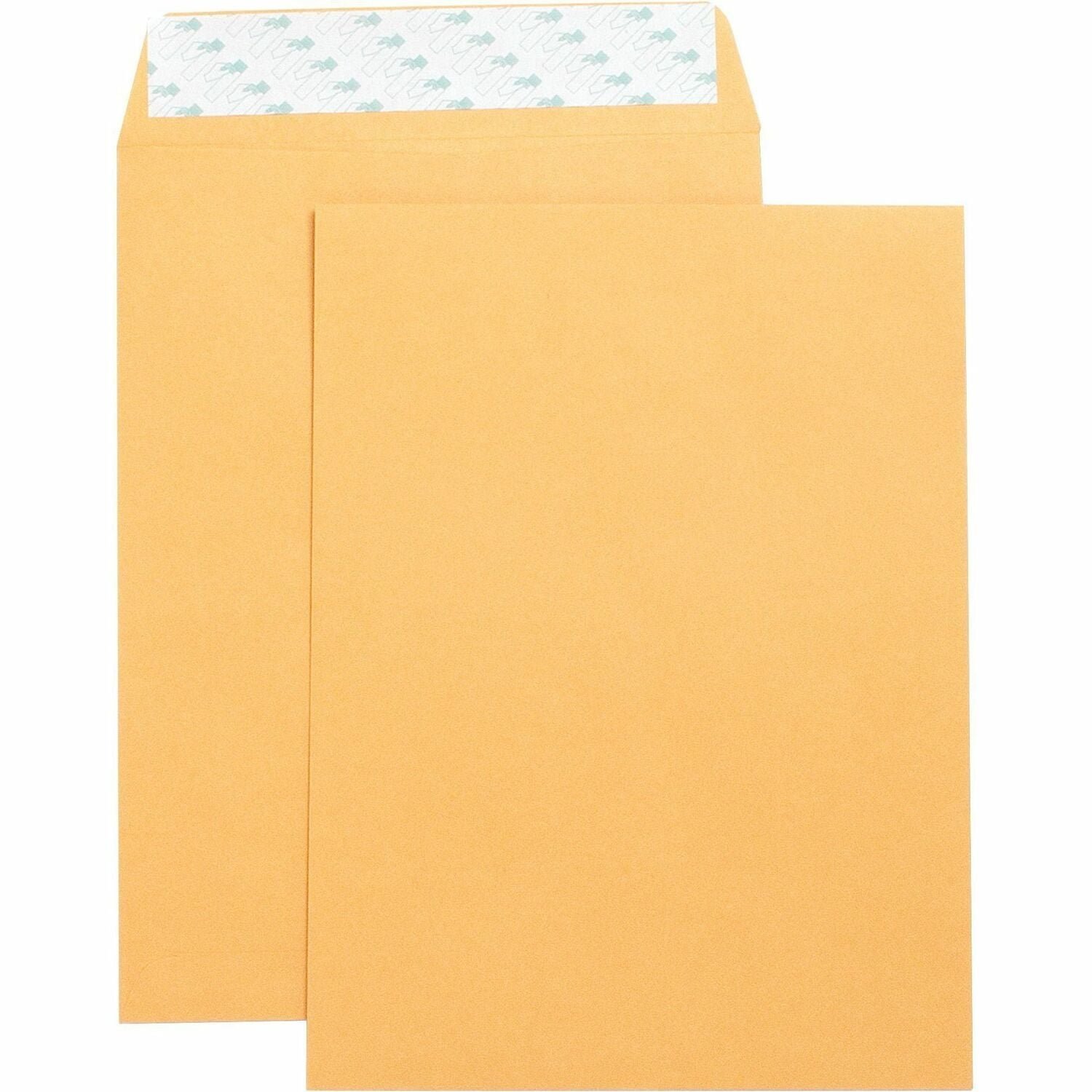 business-source-self-adhesive-kraft-catalog-envelopes-catalog-9-width-x.jpg