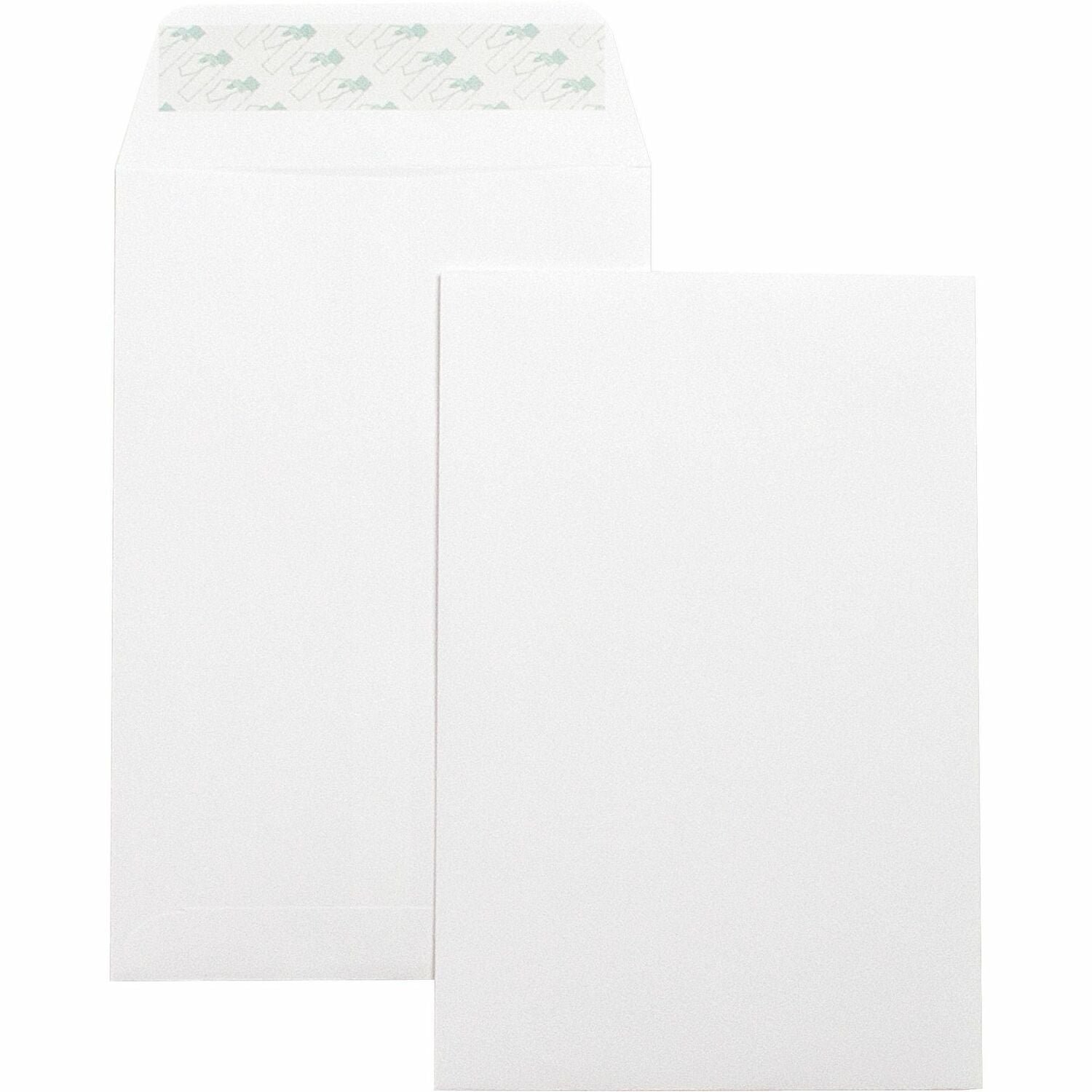 business-source-self-seal-6-x9-catalog-envelopes-catalog-6-width-x-9-.jpg