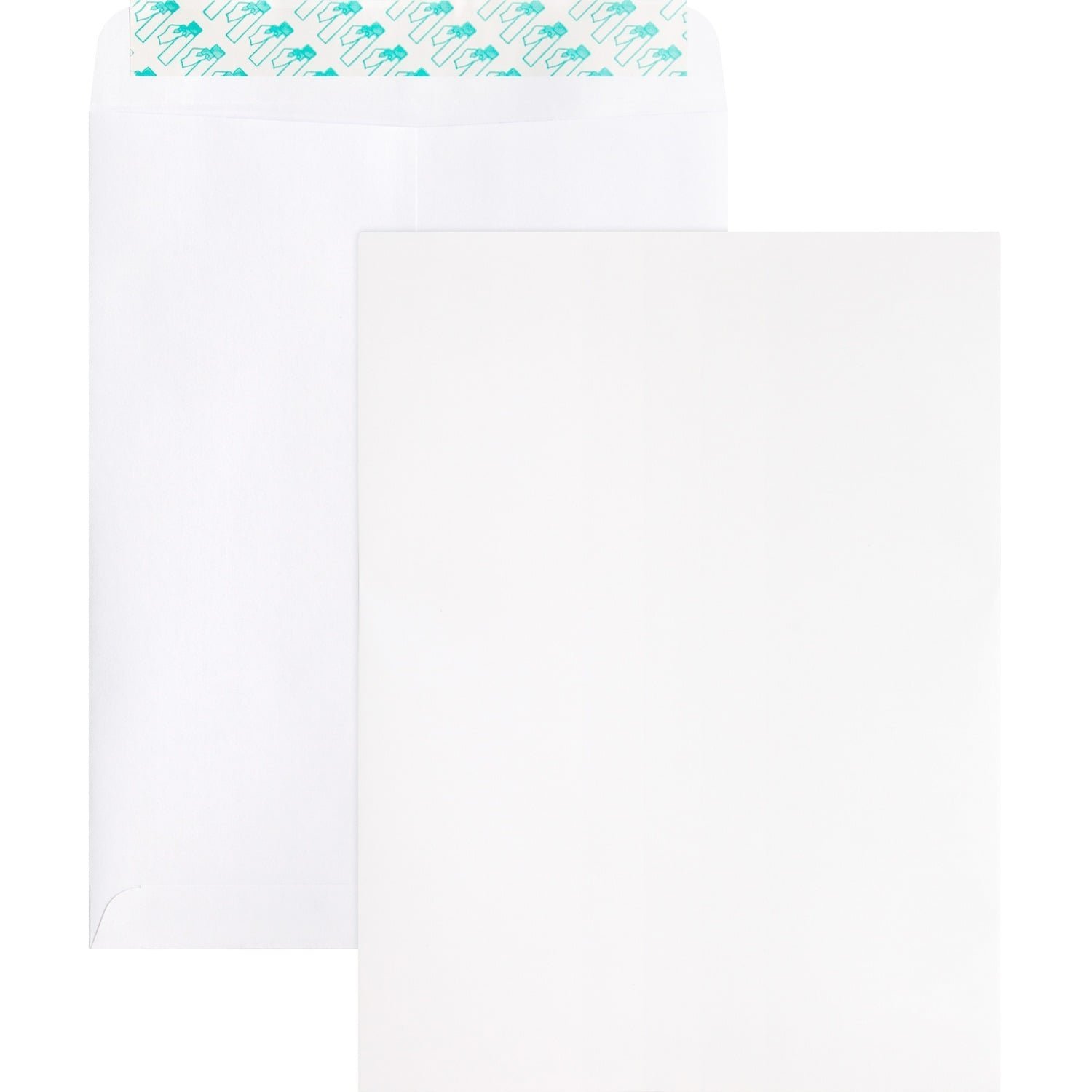 business-source-self-sealing-catalog-envelope-catalog-9-width-x-12-length.jpg
