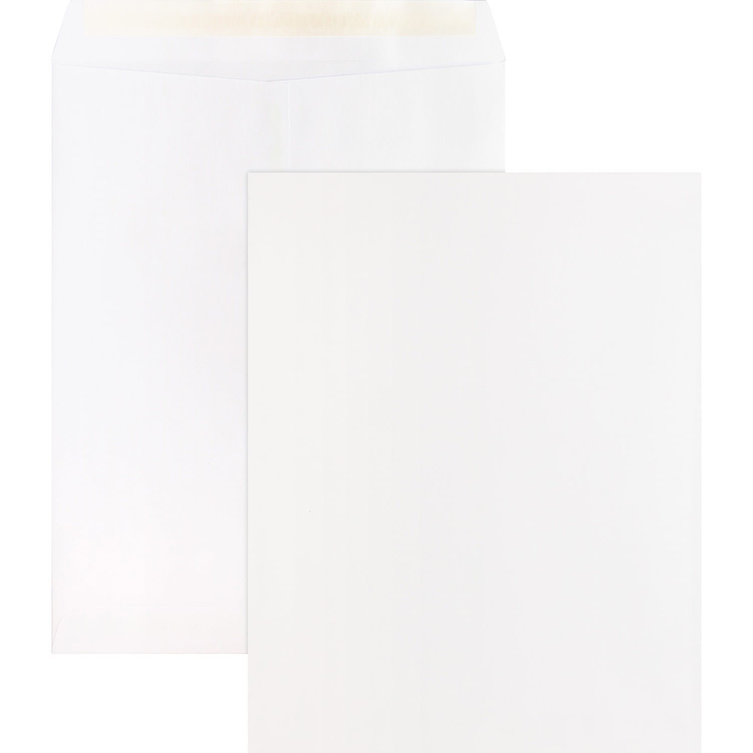 business-source-self-sealing-catalog-envelopes-catalog-10-width-x-13-.jpg