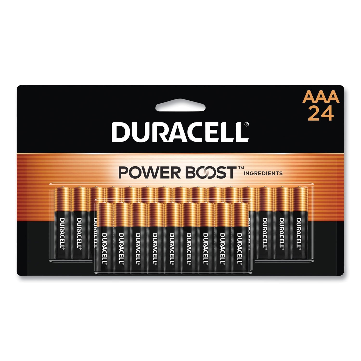 duracell-power-boost-coppertop-alkaline-aaa-batteries-24-pack-mn2400b24z.jpg