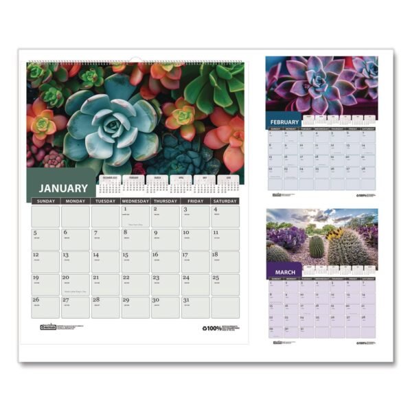House of Doolittle Recycled Succulent and Cacti Wall Calendar, 14 x 11, Multicolor Sheets, 12-Month (Jan-Dec): 2026 (317)