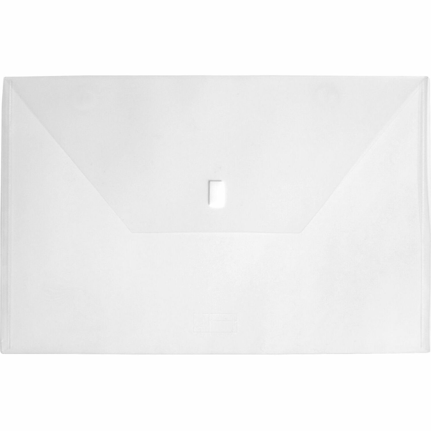 lion-recycled-project-file-11-x-17-poly-clear-hook-loop-closure-.jpg