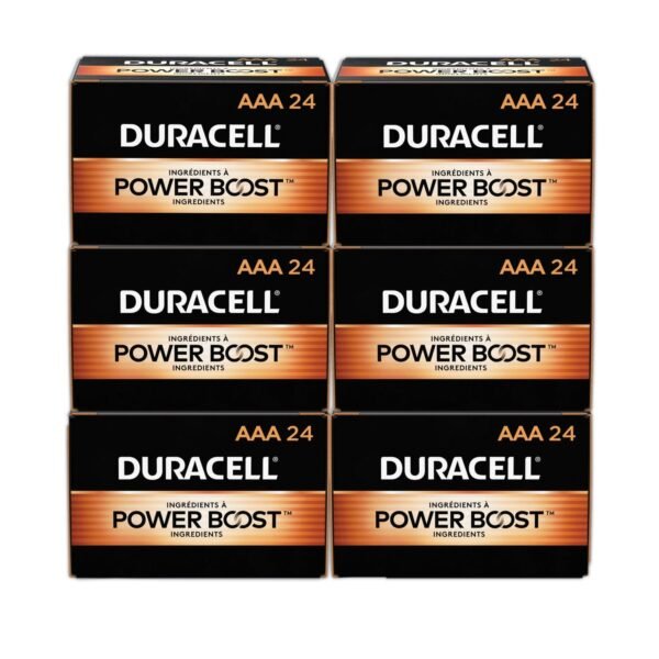 Power Boost Coppertop Alkaline Aaa Batteries, 144/carton