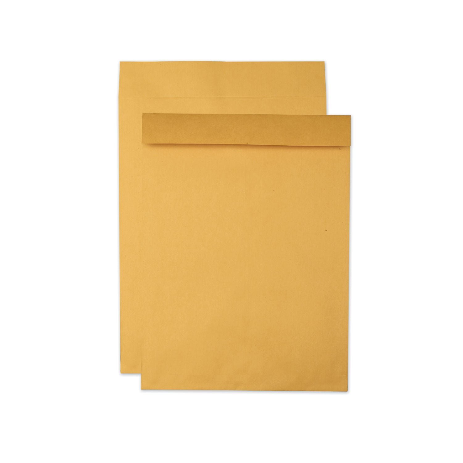 quality-park-jumbo-size-kraft-envelope-cheese-blade-flap-fold-over-closure-.jpg