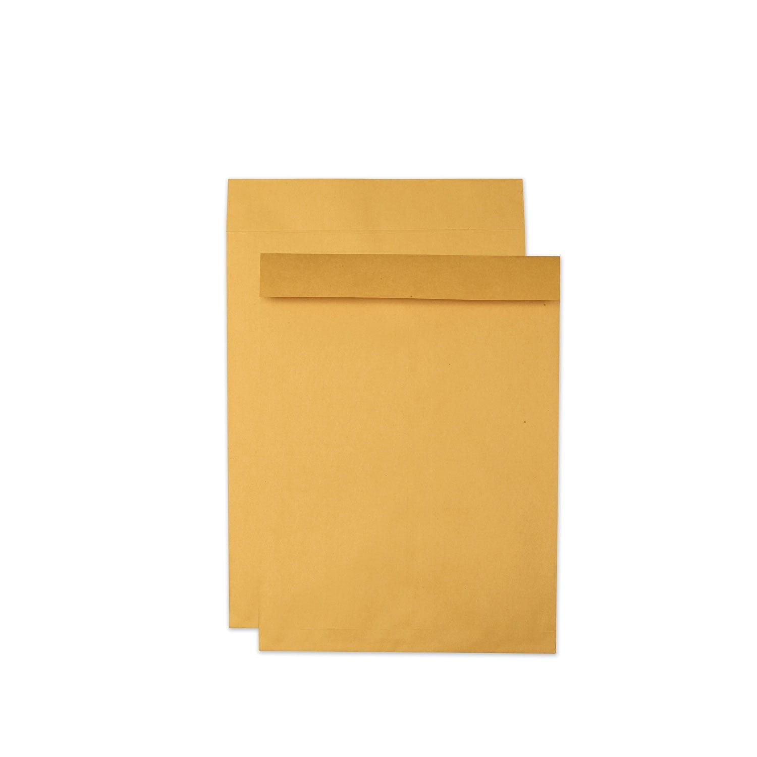 quality-park-jumbo-size-kraft-envelope-cheese-blade-flap-fold-over-closure-1-3.jpg