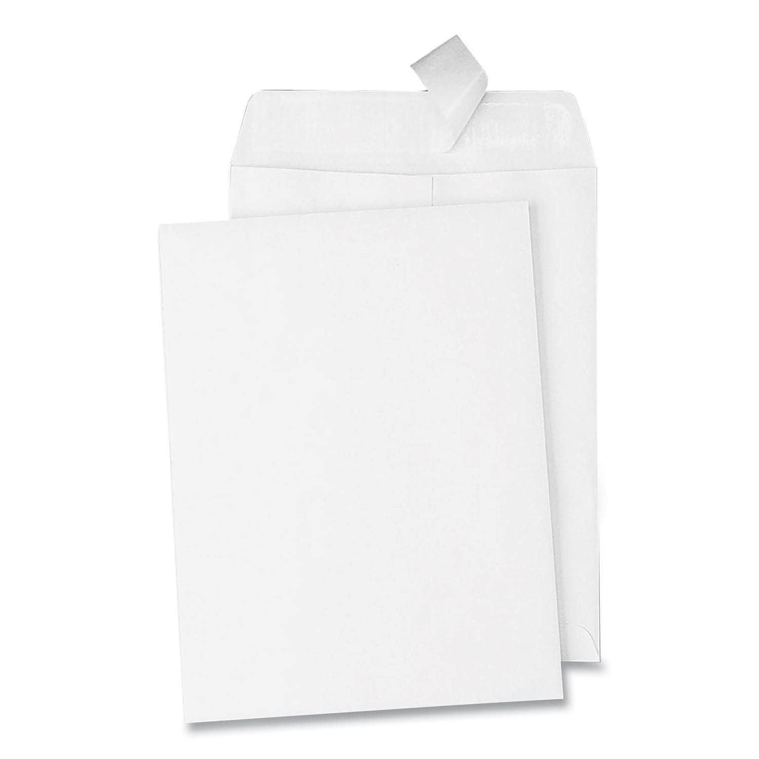 quality-park-redi-strip-catalog-envelope-1-cheese-blade-flap-redi-strip.jpg