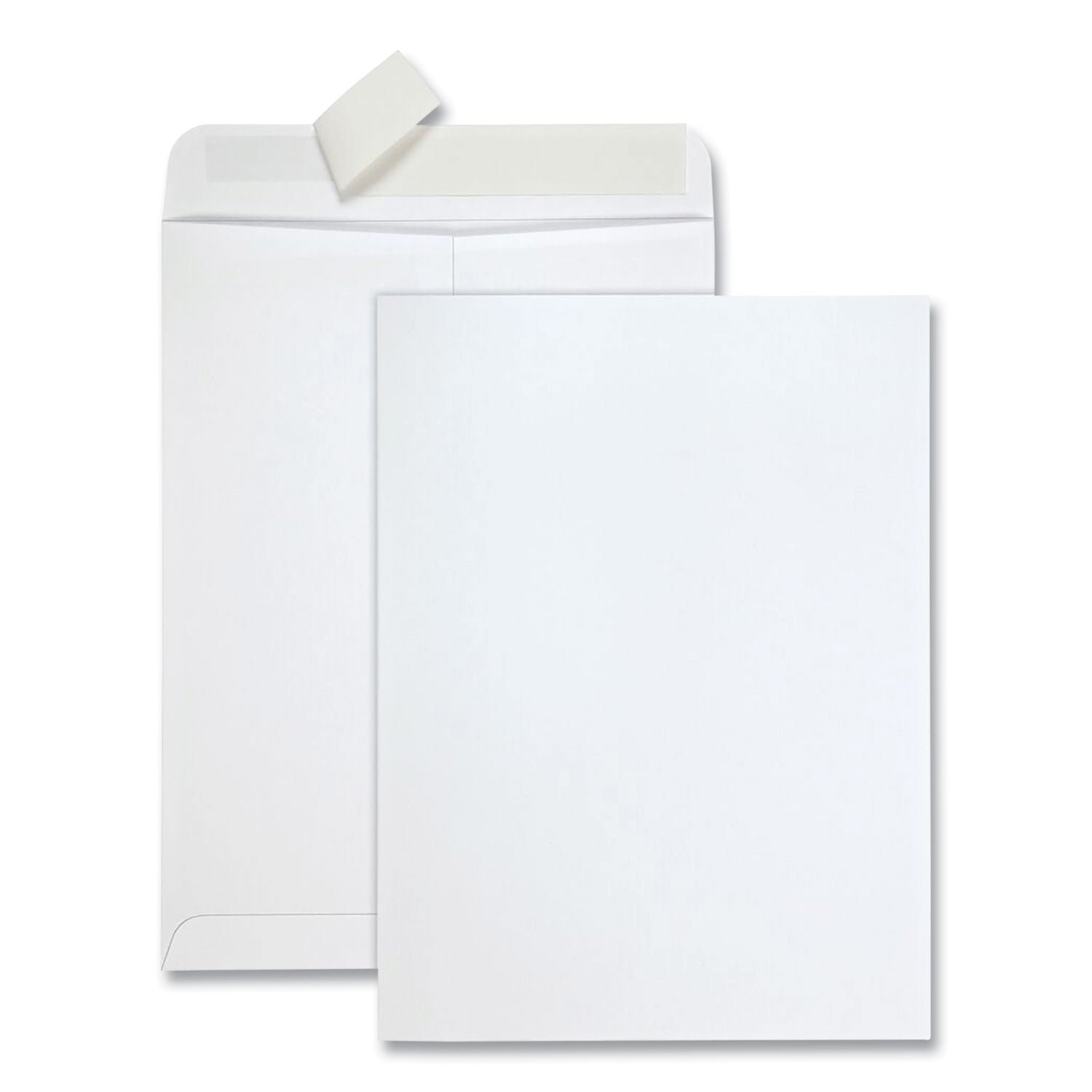 quality-park-redi-strip-catalog-envelope-10-1-2-cheese-blade-flap-1-1.jpg