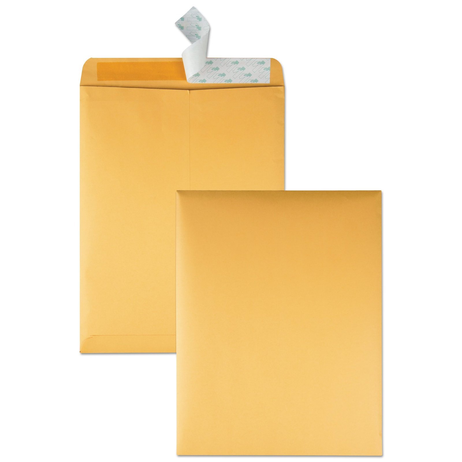 quality-park-redi-strip-catalog-envelope-13-1-2-cheese-blade-flap-1-1-scaled-1.jpg