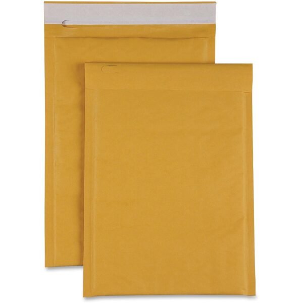 Sparco Size 00 Bubble Cushioned Mailers Bubble - #00 - 5" Width x 10" Length - Self-sealing - Kraft - Kraft - 250 / Carton (74979)