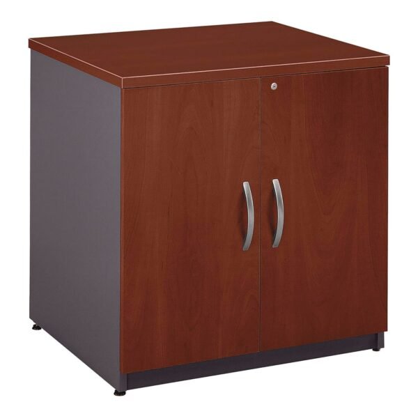Bush Series C Collection 30W Storage Cabinet, Graphite Gray/Hansen Cherry (WC24496A)