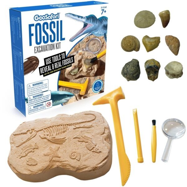 Educational Insights GeoSafari Fossil Excavation Kit Theme/Subject: Fun - Skill Learning: Paleontology, STEM, Fossil - 7-12 Year - 1 Each (5340)