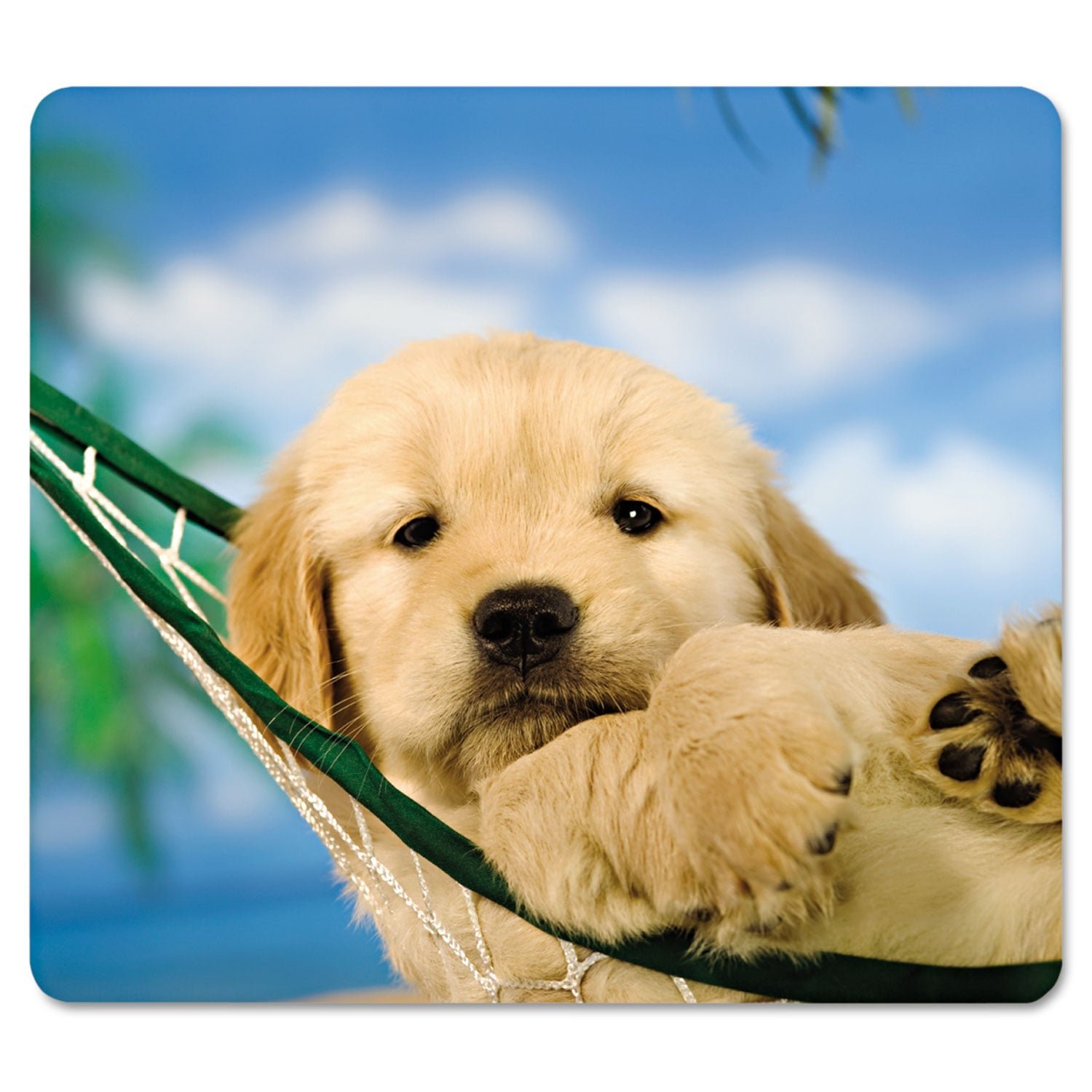 fellowes-recycled-mouse-pad-9-x-8-puppy-in-hammock-design-5913901.jpg