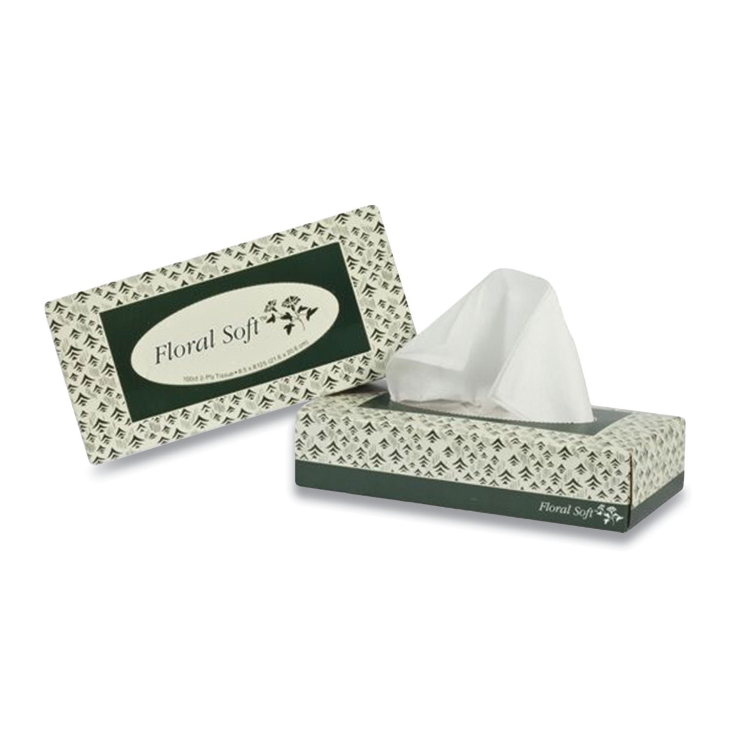 floral-soft-white-facial-tissue-2-ply-100-sheets-box-30-boxes-carton-f100.jpg