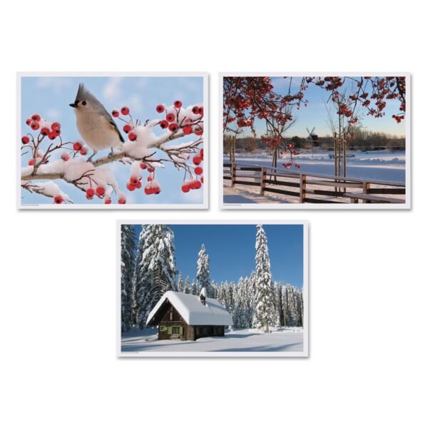 Hoffmaster Winter Multi-Pack Placemats, 10 x 14, Three Different Scenes, 1,000/Carton (702079)