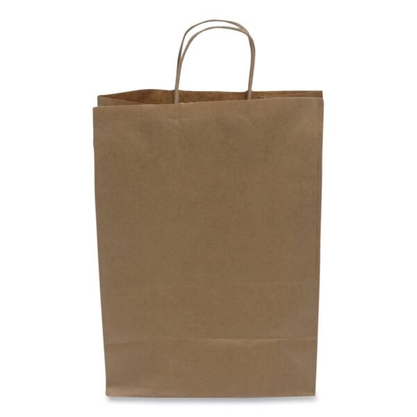 Kari-Out Kraft Paper Bags, Natural Kraft Flat Handles, 10" x 6" x 13", Natural, 250/Carton (1200110)