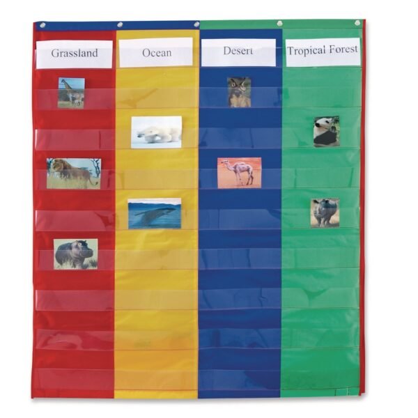 Learning Resources Two- and Four-Column Double-Sided Pocket Chart, 9 Pockets/Chart, 30 x 38, Blue/Green/Red/Yellow (LER2382)