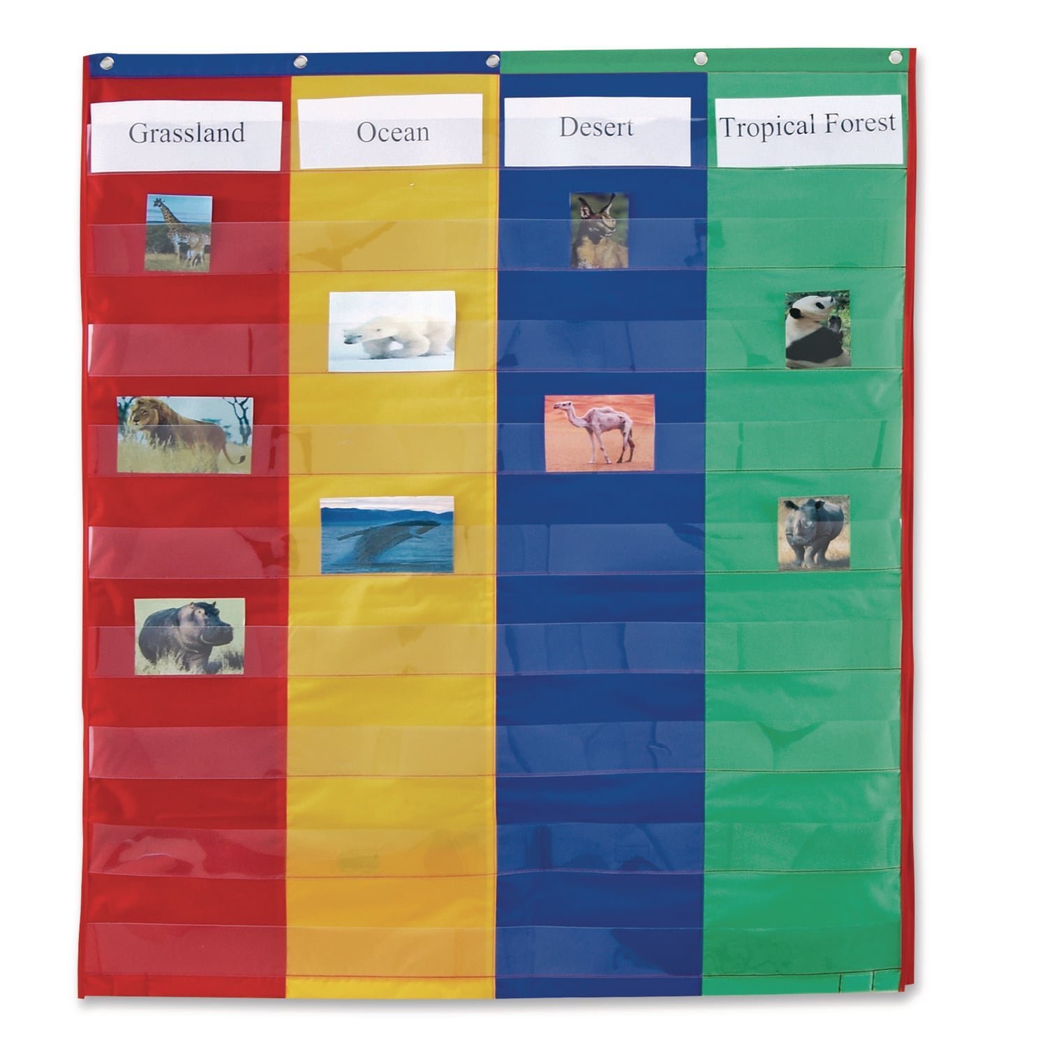 learning-resources-two-and-four-column-double-sided-pocket-chart-9.jpg