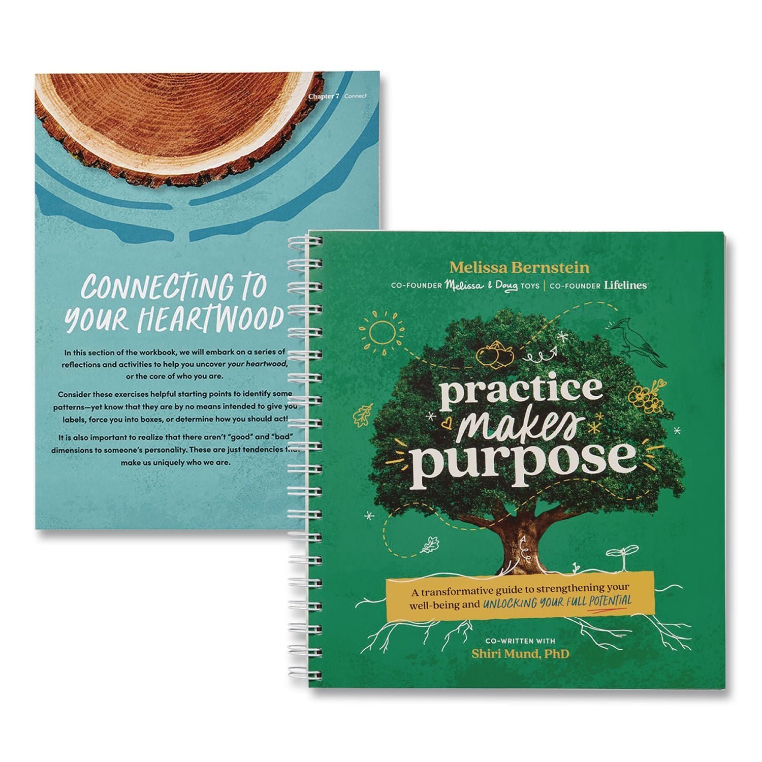lifelines-guided-journal-practice-makes-purpose-by-melissa-bernstein-and.jpg