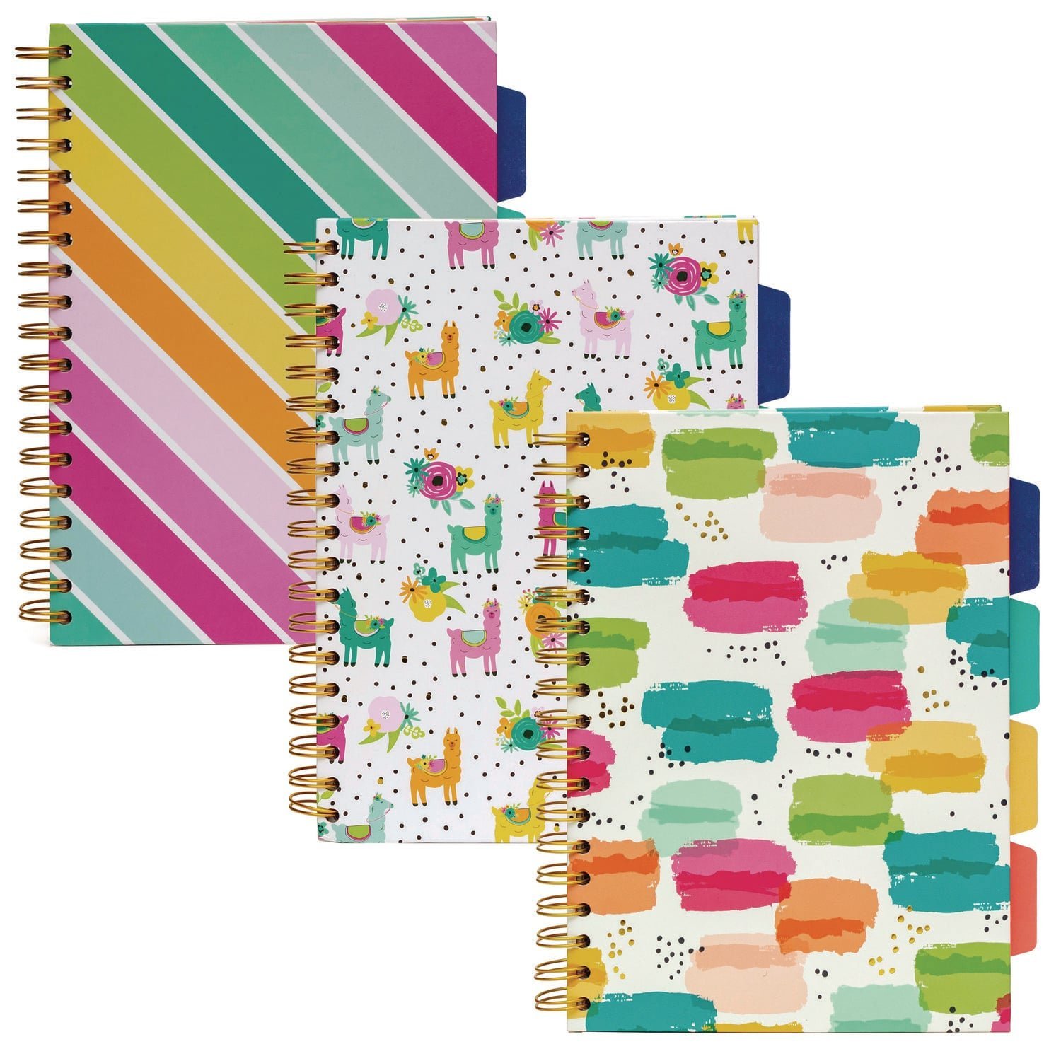 pukka-pad-b5-size-project-book-4-subject-medium-college-rule-assorted-1.jpg