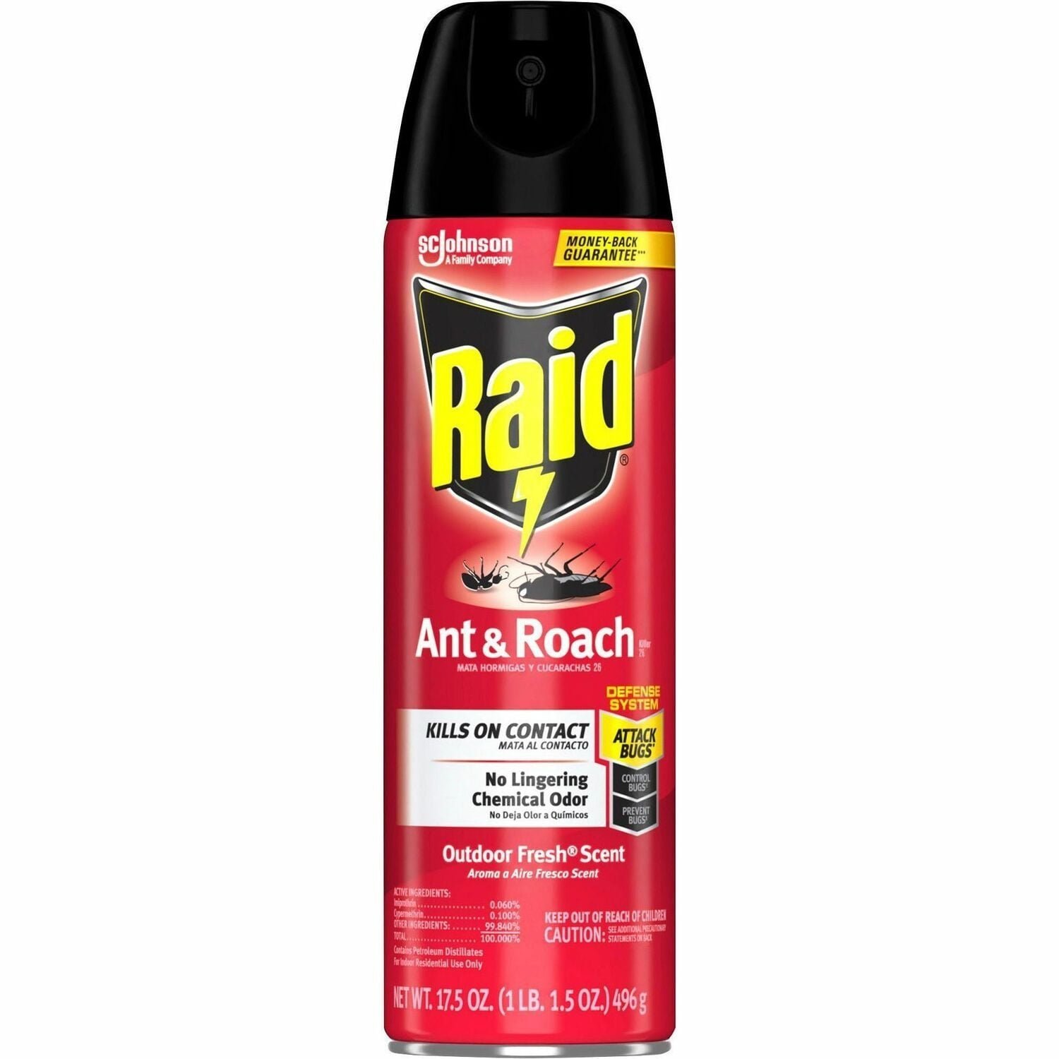 raid-ant-roach-killer-spray-spray-kills-ants-cockroaches-bugs-water.jpg