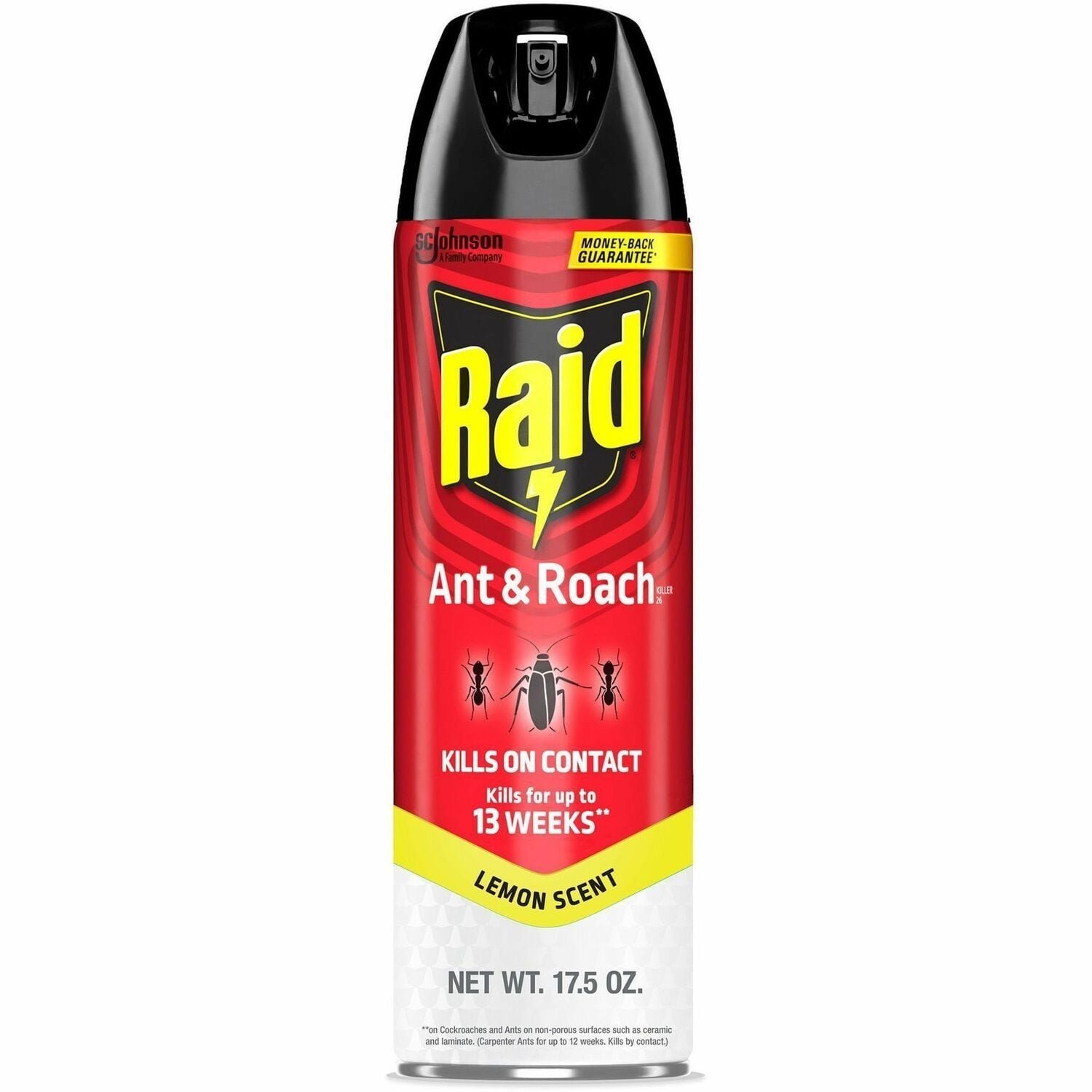 raid-ant-roach-killer-spray-spray-kills-ants-cockroaches-crickets-.jpg