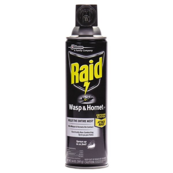 Raid Wasp and Hornet Killer, 14 oz Aerosol Spray (668006EA)