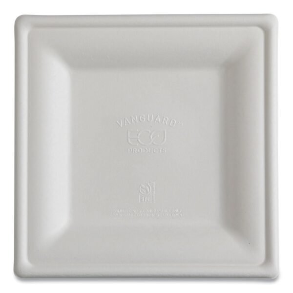 Vanguard Renewable And Compostable Sugarcane Plates, 10 X 10, White, 250/carton