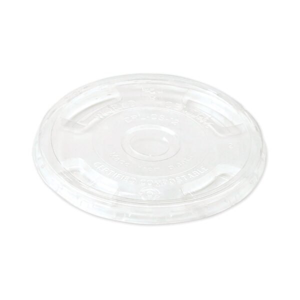 World Centric PLA Clear Cold Cup Lids, Flat Lid, Fits 9 oz to 24 oz Cups, 1,000/Carton (CPLCS12)
