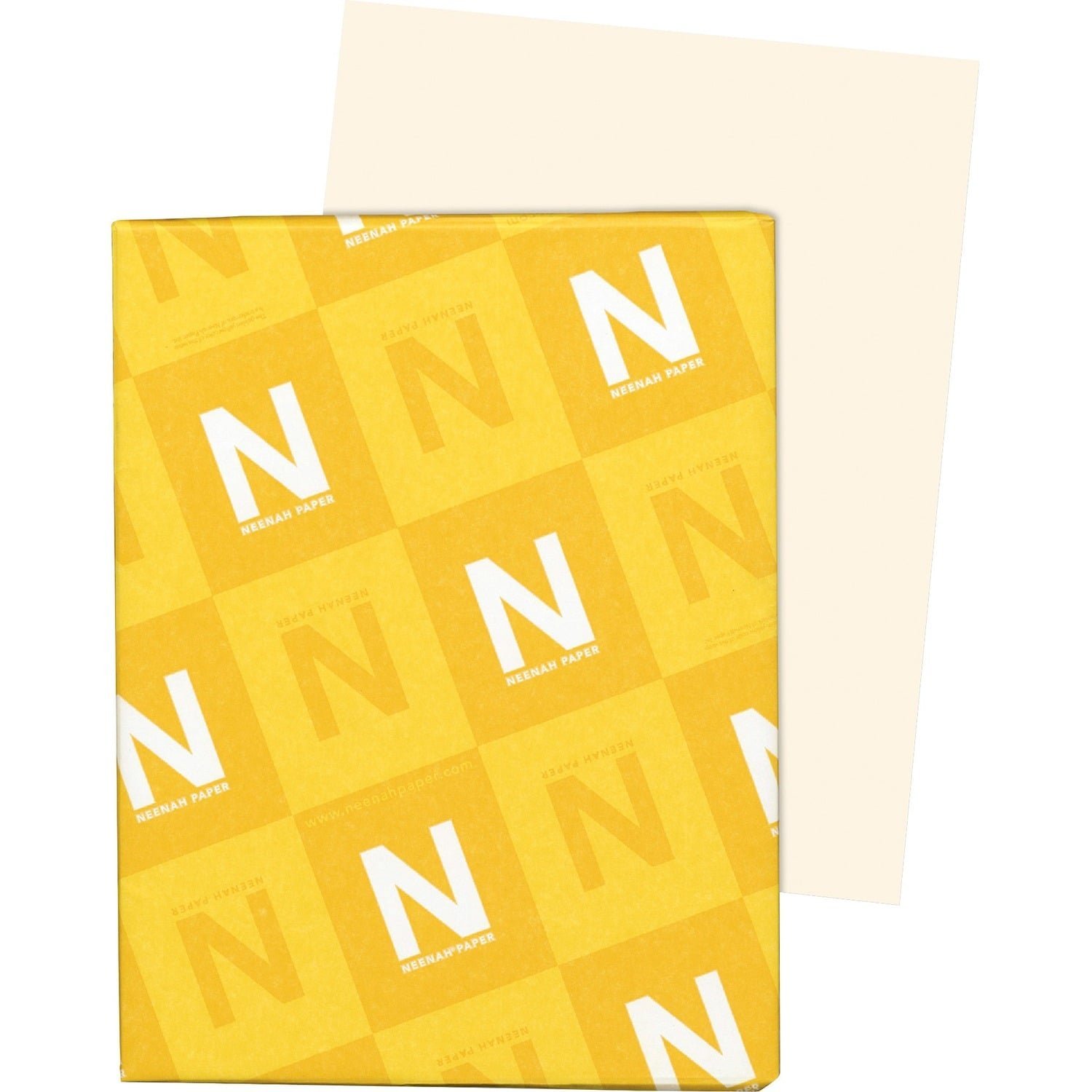 exact-vellum-bristol-paper-ivory-letter-8-1-2-x-11-67-lb-basis-weight.jpg